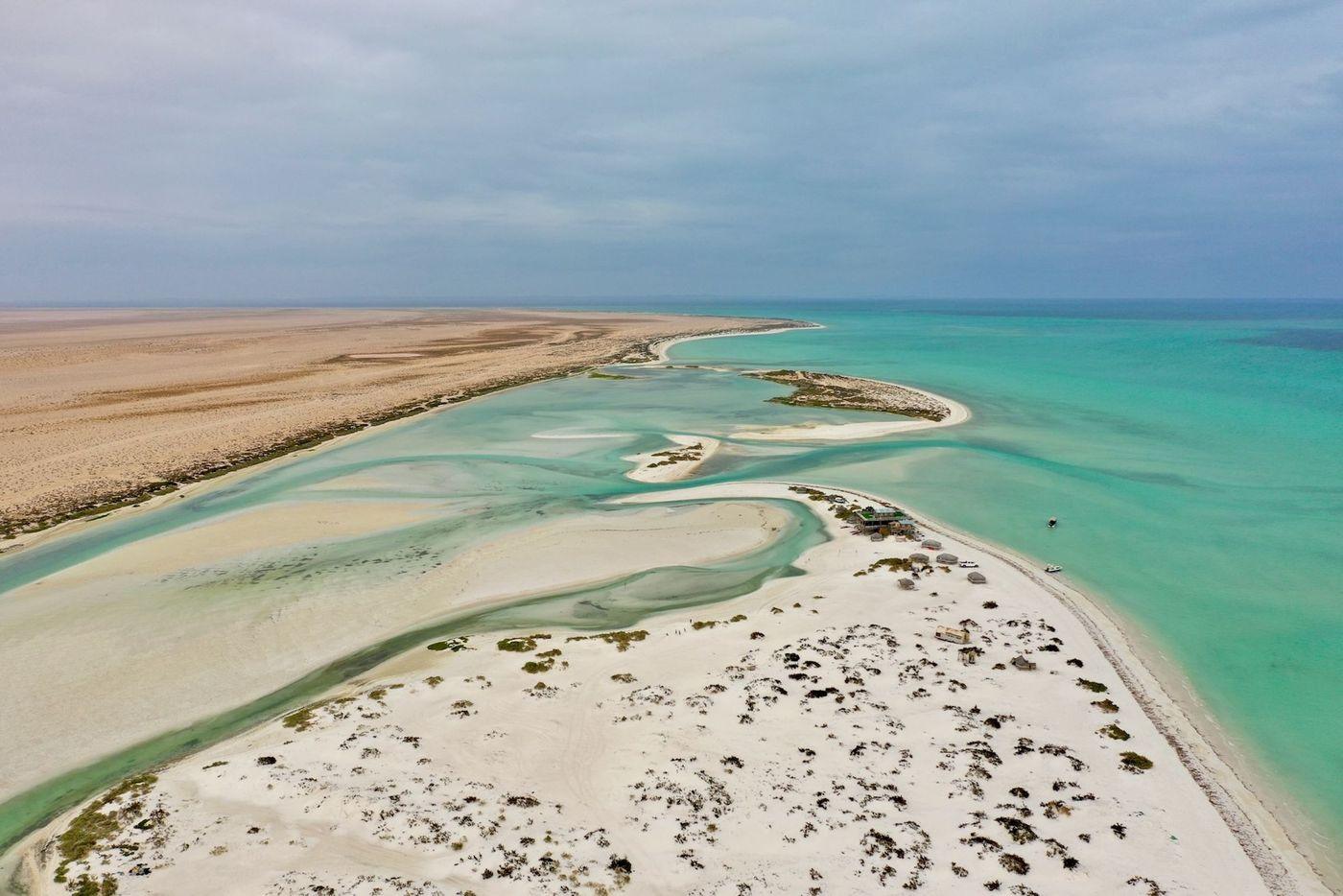 Arid Musandam coastline meeting calm turquoise sea under a clear sky